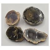 Collection of Agate and/or Chalcedony Nodule Halve