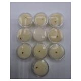Gold Flea Like Nuggets = 0.282grams