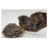 Lamon Kentucky & Coyamito Agate Geodes