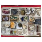 Rare Pieces included in Tray