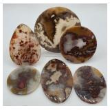 Natural Pattern Crazy Lace Agate Polished Slices