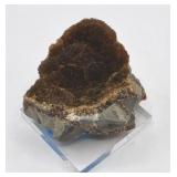 Brown Aragonite from TX1 Clay Pit Dallas TX