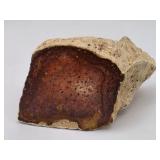 Agatized Dinosaur Bone