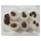 Fire Agate Polished Stone Collectiom