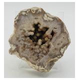 Agatized Fossil Coral Geode
