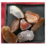 (7) Polished Montana Agates