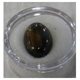Pietersite Rare Stone