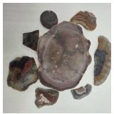 Agate & Dryhead Slice Collection