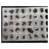 Fire Agate Mexico Collection Tray