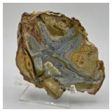 Wardite Cranite Clay Crystal Mineral