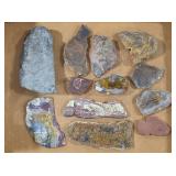 (12) Rock, Fossil, & Agate Collection
