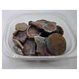 Small Pieces of Agate Stone