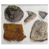 Crazy Lace, Mosee, Paint Rock Agates