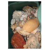 BIN FULL OF WONDERFUL SEA SHELLS FOR Dï¿½COR