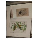 MORE SHRINK WRAPPED MATTED ART