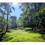 3.204 Acre Building Lot w/ Existing A-Frame Cabin