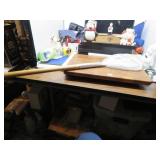 BUTTER FLY CATCHER NET