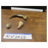 LOT DM 25 ANCIENT SEAL SCARAB REPLICA BEAR CLAW