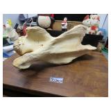 LOT DM 54 NECK BONE GIRAFFE