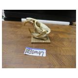 LOT DM 47 AMERICAN MUSKRAT SKULL