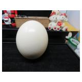 LOT DM  54 LARGE OSTRICH EGG