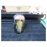 LOT  DM 51 RED JELLYFISH IN GLASS CASE