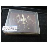LOT DM 52 ARTICULATED BAT SKELETON