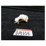 DM  104 RACOON SKULL