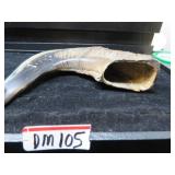 DM  105   RAM HORN  ANTLER