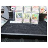 LOT  SHANE 76 18 MAGIC CARDS   IN BINDER