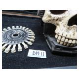 LOT DM 11 COLLECTIBLE DENTIST  TOOTH SIZER & sckul