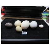 LOT DM 7  JAR OF VARIOUS COLLECTIBLE EGGS