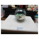 LOT B38  SEA SHELL CHANGEABLE ART  IN GLOBE