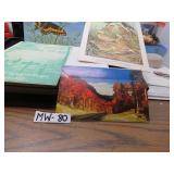 LOT MW 80 IDENIFY BUTTER FLIES & BIRD  BOOK