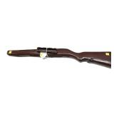 SKS plastic stock and hand rail
