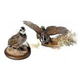 Pair of Grouse Mounts (1 on base, 1 on board)