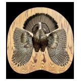 Bearded Tom Turkey Display on oak board, overall