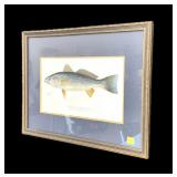 Framed Fish Print marked Denton, frame size