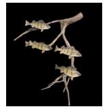 Trophy Perch Mount Display on driftwood, overall