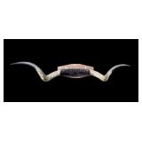 Pair of steer horns