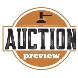 IN PERSON PREVIEW/INSPECTION: