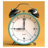 PLEASE READ: TIME CHANGE FOR AUCTION: