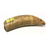Whale tooth