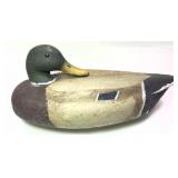 Mallard Preening Duck Decoy