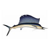 Sail Fish Trophy Mount