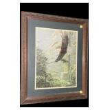 Framed Eagle print, frame, size: 23" x 19"