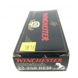 Box of .22-250 REM 55-grain ballistic silvertip