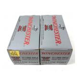 x2- Bricks of .22 LR hollow point Winchester