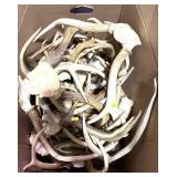 Lot: large box of assorted white tail antlers