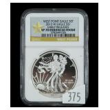 2013-W American Silver Eagle- NGC slab certified